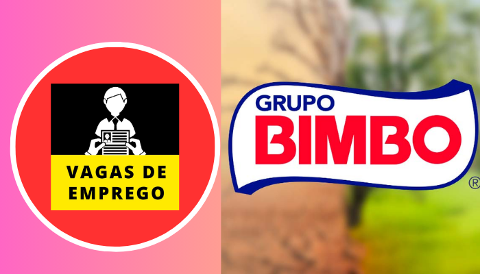 Bimbo Brasil Tem 20 Vagas de Emprego Abertas